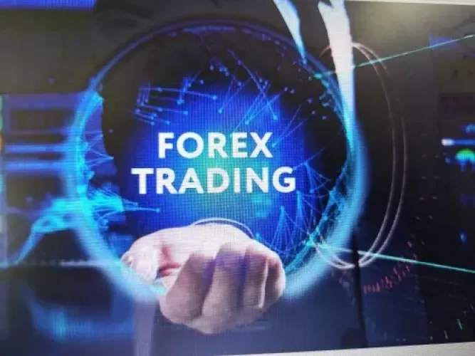 Forex Consultants & Service